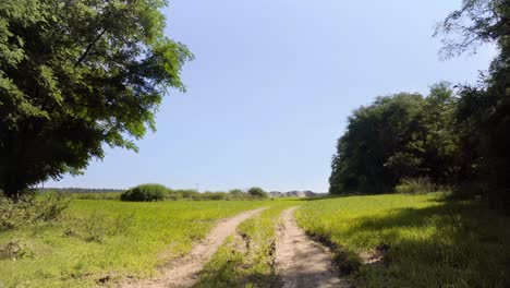 Grünes-Feld-Während-Des-Sonnigen-Sommertages-Mit-Blauem-Himmel-Und-Energiepfosten-In-4k