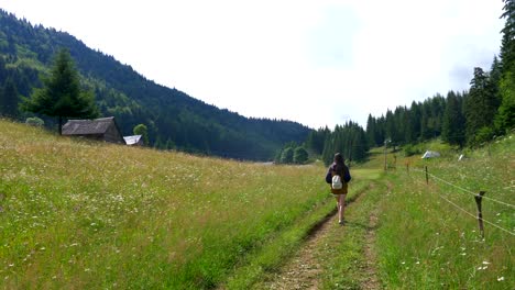 a woman hiking through a mountain 4k