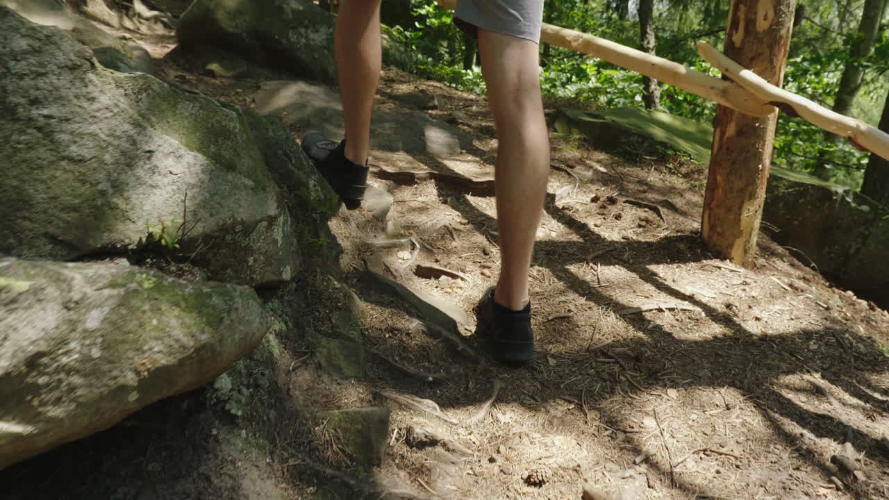 piernas de un hombre caminando por un sendero de montaña a lo largo de las raíces de los árboles