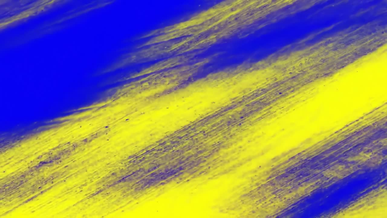 Abstract Blue and Yellow Brushstrokes