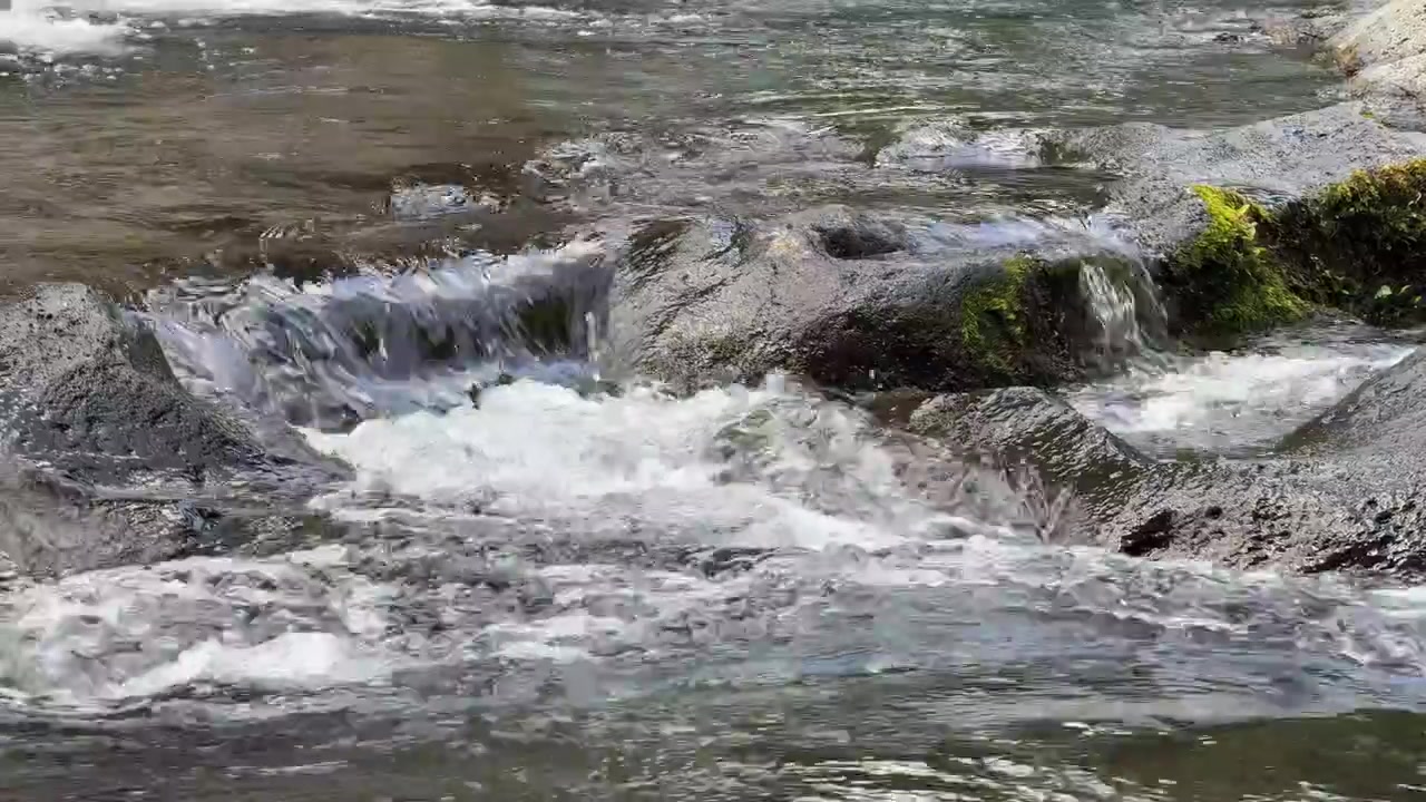 Acqua limpida che scorre su rocce muschiose in un ruscello