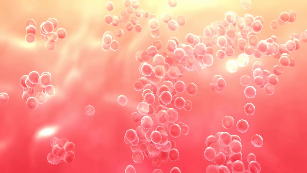 Bolle traslucide astratte fluttuano su uno sfondo caldo rosa corallo con un bagliore luminoso vicino alla parte superiore e cerchi densi e raggruppati al centro