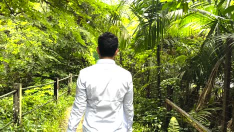 male traveler walking in windsor nature park in singapore - tracking shot