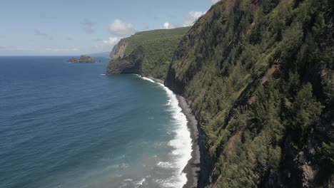 steep treed cliff face leads down to ocean pebble beach, aerial view