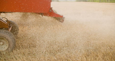 harvesting combine harvester harvesting wheat 1