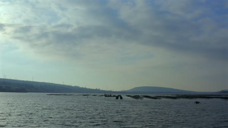 Serene aerial tracking of morning light across meticulously arranged oyster farm bed lines.