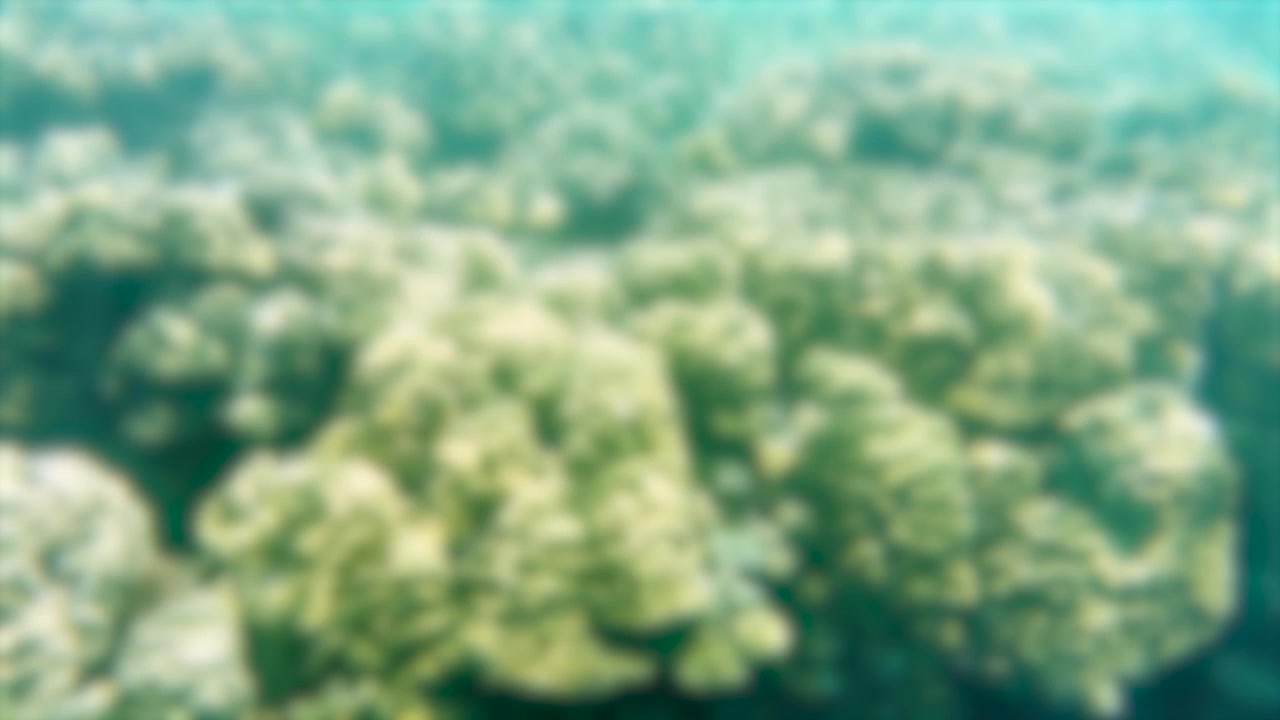 Ripresa subacquea sfocata di una barriera corallina con la luce del sole che filtra attraverso l'acqua blu limpida