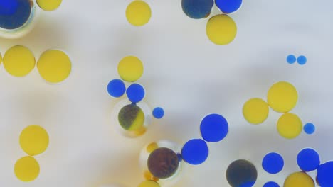 colorful bubbles. abstract yellow, blue mixture on a black background. artistic color paint background.