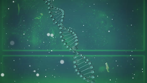 animation of green dna strand spinning with glowing spots
