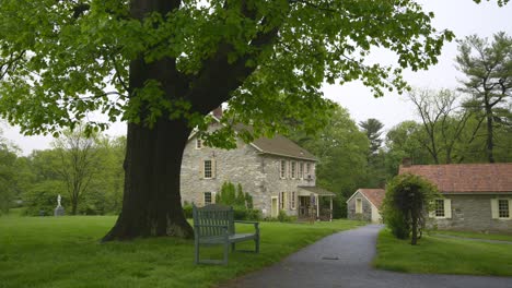 a bench underneath a tree outdoors with colonial homes in the background