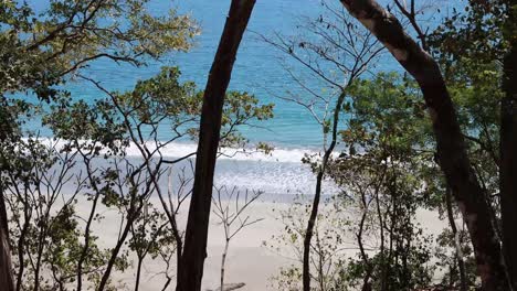 Wellen-Rollten-Durch-Die-Bäume-An-Den-Strand