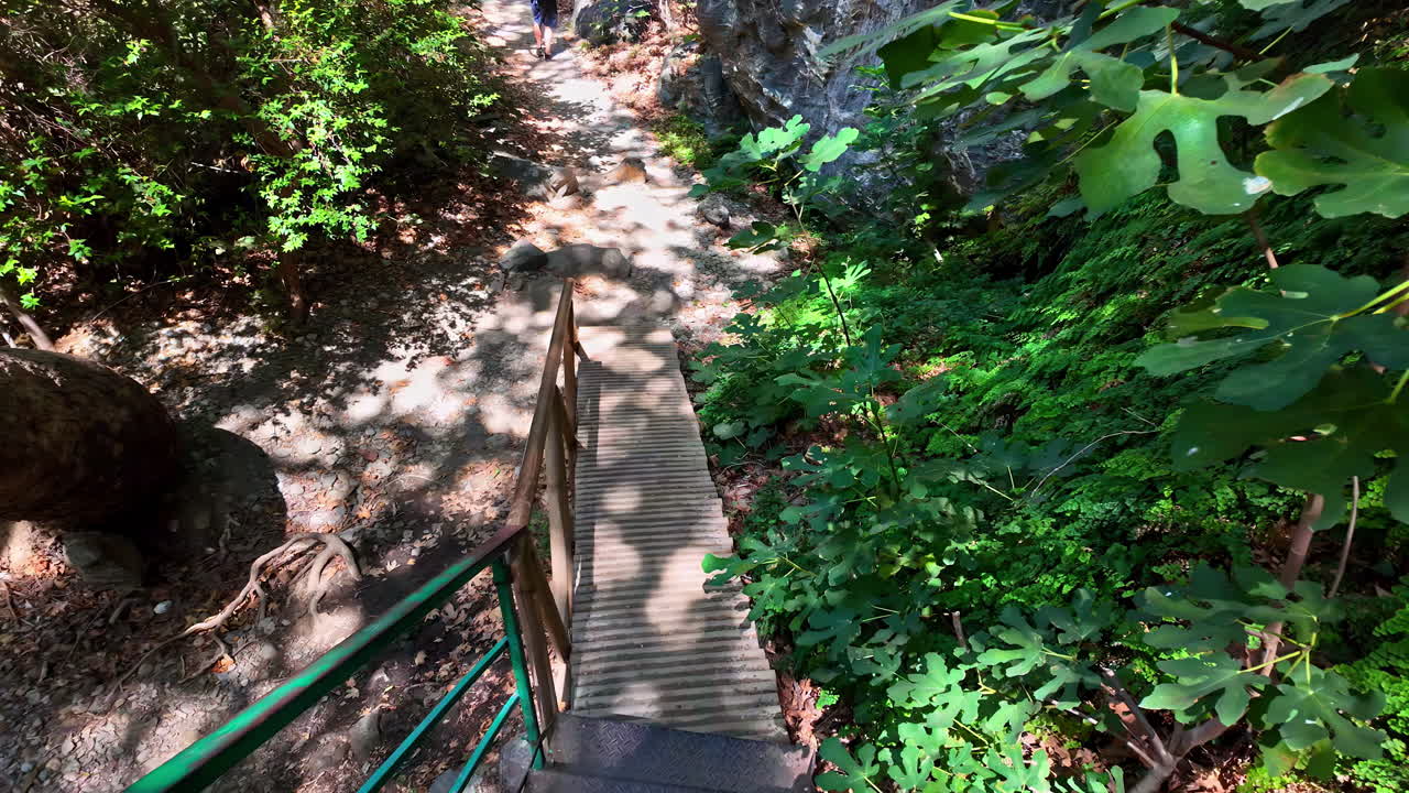Hiking Trail with Wooden Stairs in a Lush Forest