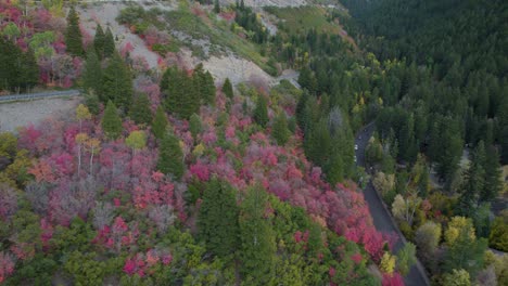 美國福克峡谷 (american fork canyon) 位於猶他州瓦薩奇山脈 (utah wasatch range)