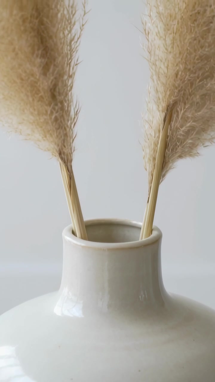 Video verticale: Telecamera che si sposta rivelando un vaso color crema con steli di pampa su un tavolo illuminato dal bagliore della finestra.