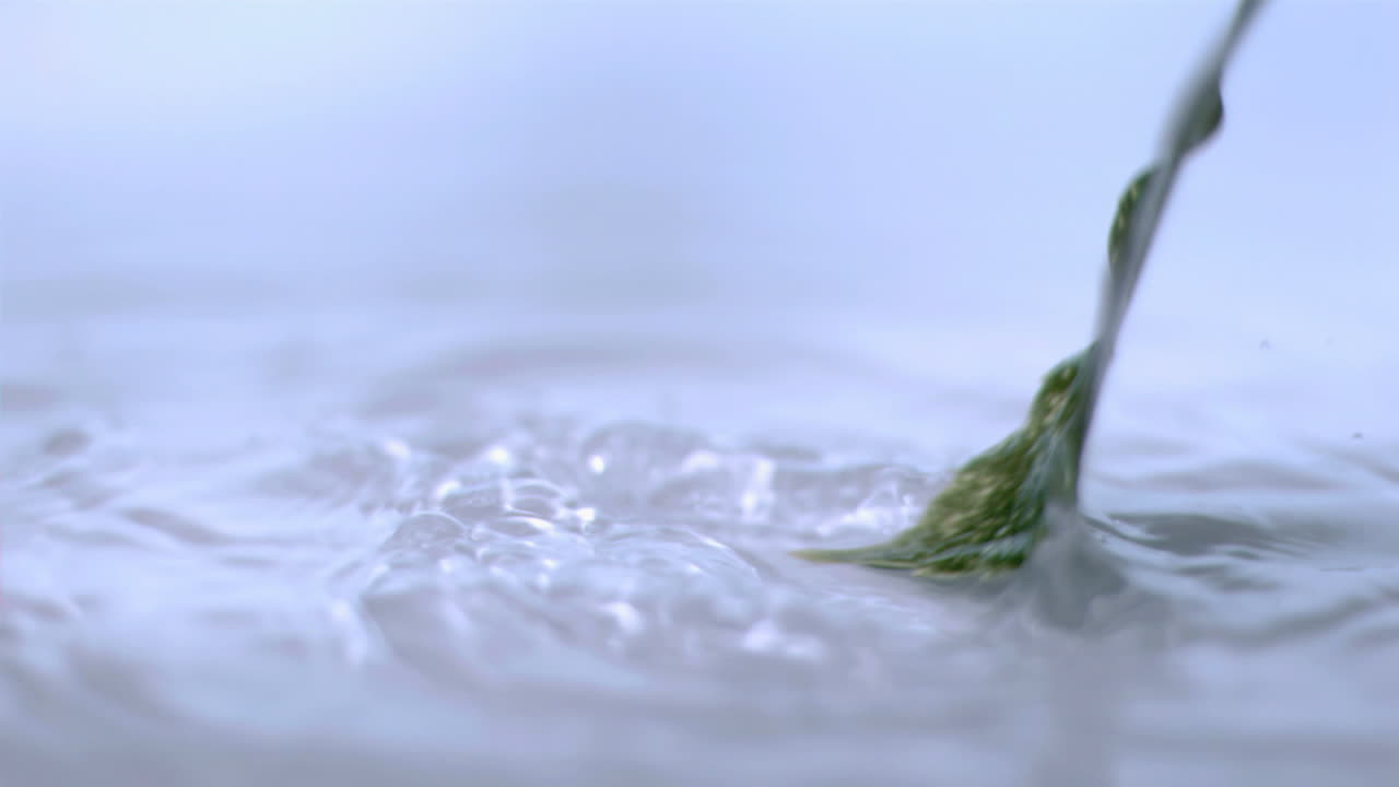  Leaf bespattering in super slow motion