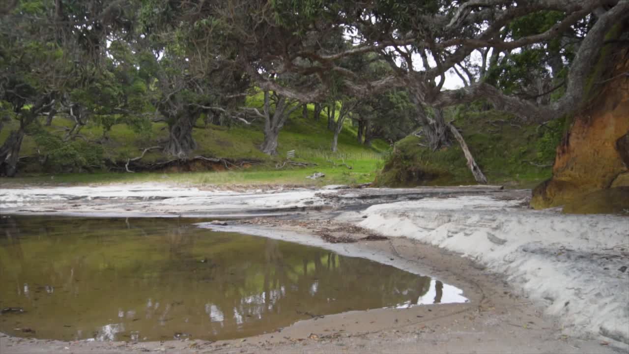 océano índico, maroni, guyana, guyana, punto de vista, surinam, guayana francesa, turismo, nubes, ecuatorial, árboles, curvas, verano, bonitas, pabellón, indígena