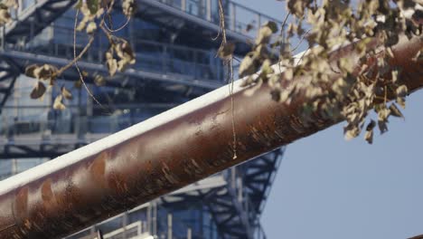 detail of a rusted pipe with a tree branch in the foreground and a modern building with lots of windows in the background