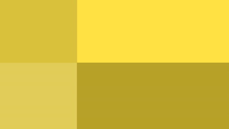 animation of yellow rectangles on white backgroud