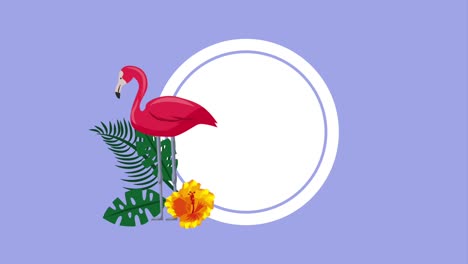 plantilla de verano tropical