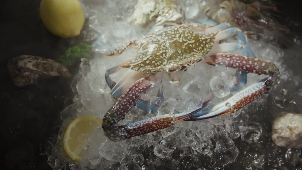 Close up shot of fresh crap on ice ingredient