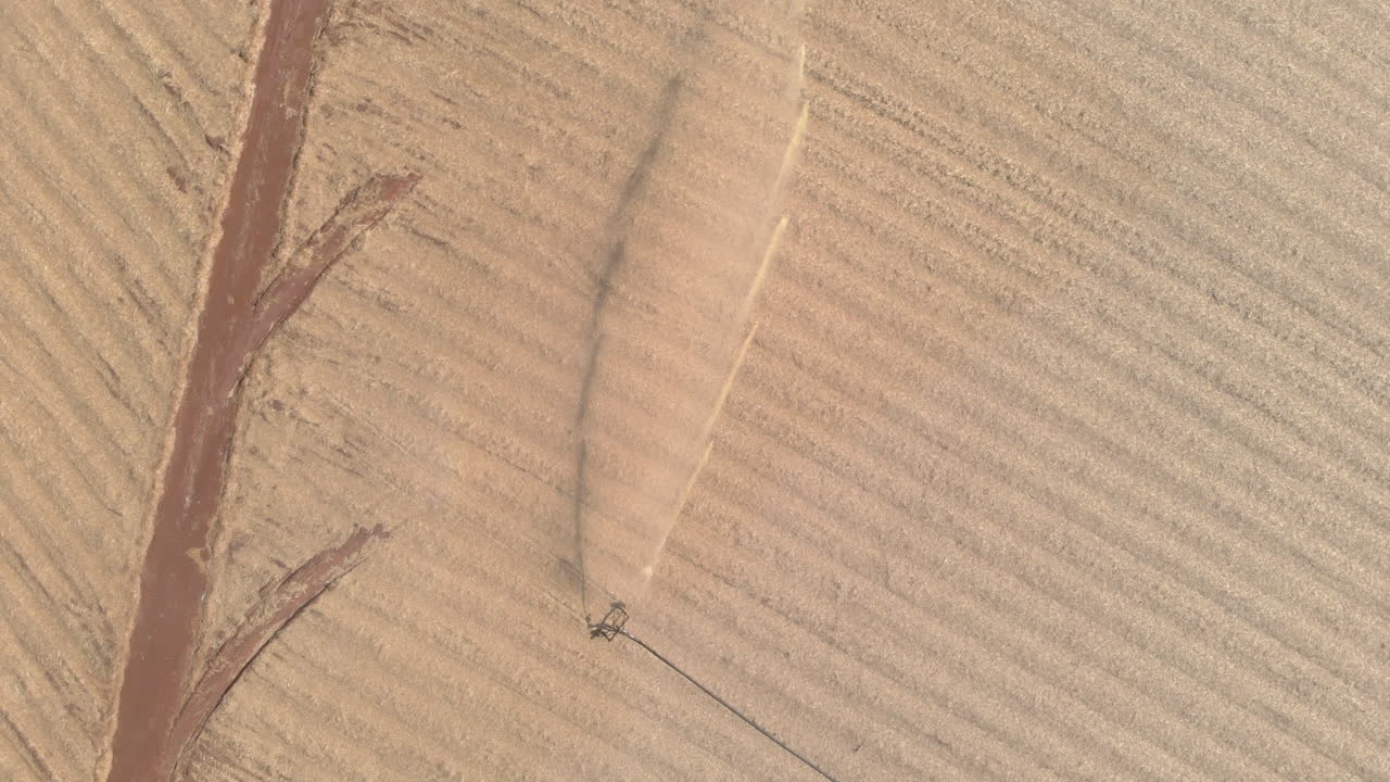 사탕수수 농장의 토양 처리