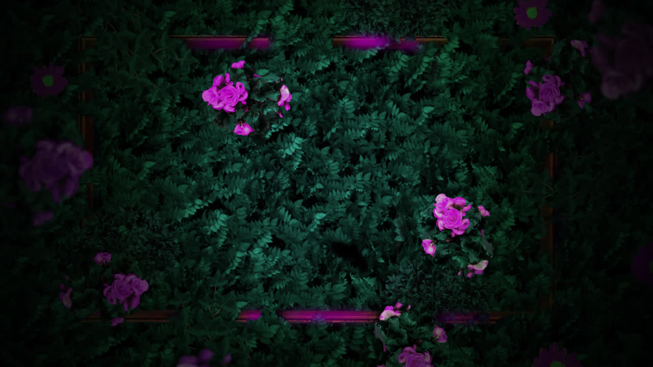 Animazione di fiori rosa tra foglie verdi, con sagome di farfalle e luci rosa