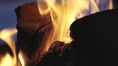 Bonfire,-Close-Up-View-Of-Wood-Burning-Fire