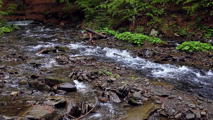 Mountain streams flow into one river after rain. Fast mountain brooks make river
