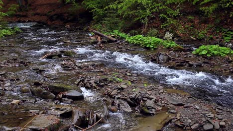 mountain streams flow into one river after rain. fast mountain brooks make river