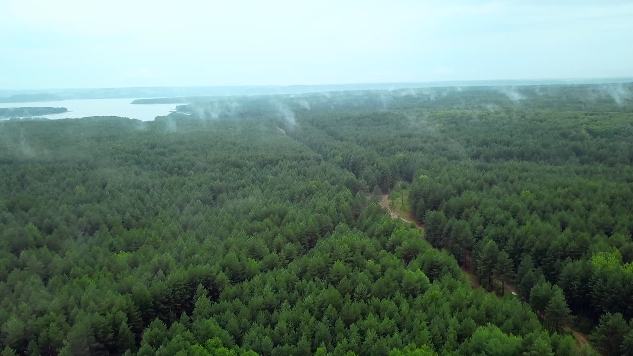 bosque de niebla por encima de un lago