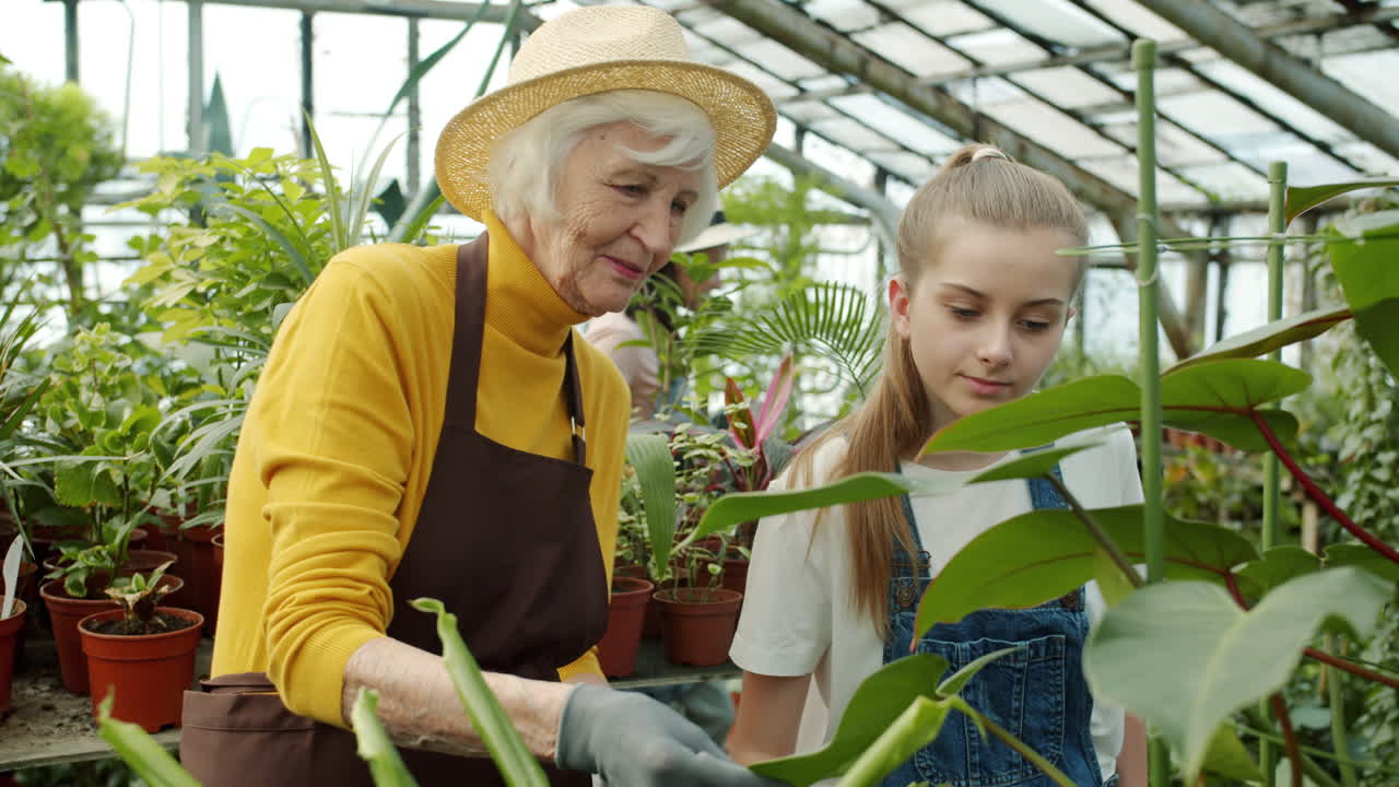 Grandmother and Granddaughter in a Greenhouse