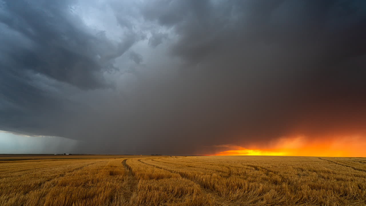 Approaching storm darkens the sky over colorful fields at sunset