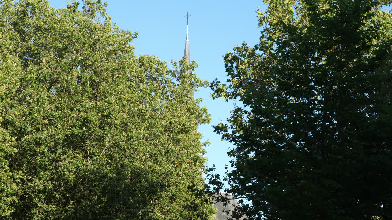 Green Foliage And Gouwekerk Tower In Gouda, Netherlands - low angle