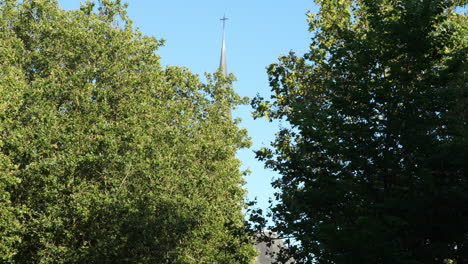 Green-Foliage-And-Gouwekerk-Tower-In-Gouda,-Netherlands---low-angle