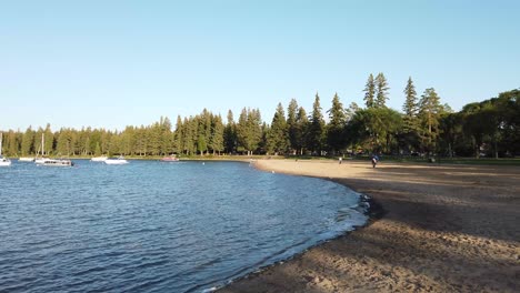 clip panning beautiful blue lake and beach. multiple boats on the water. lake is surrounded by green fir trees. water is lapping onto beach. bird flies across frame. summertime, outside