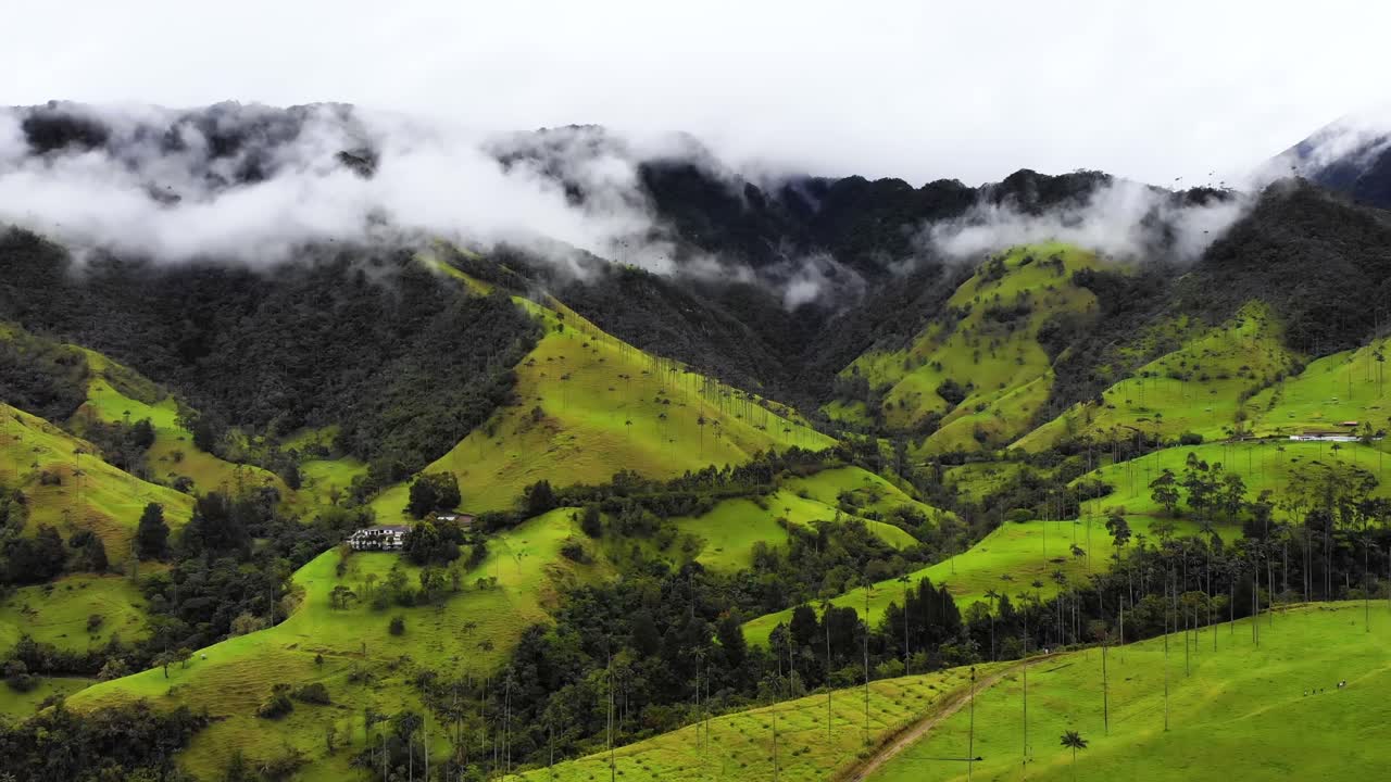 el famoso valle de cocora con sus altas palmeras de cera, patrimonio mundial de la unesco, aérea
