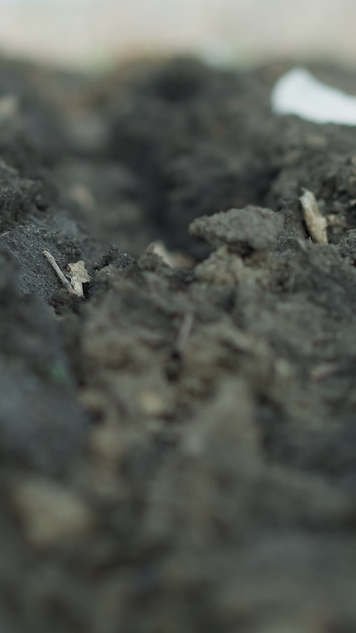 Close-up of a muddy trench on leaf-covered ground with intricate textures of wet soil, decaying leaves, and small debris