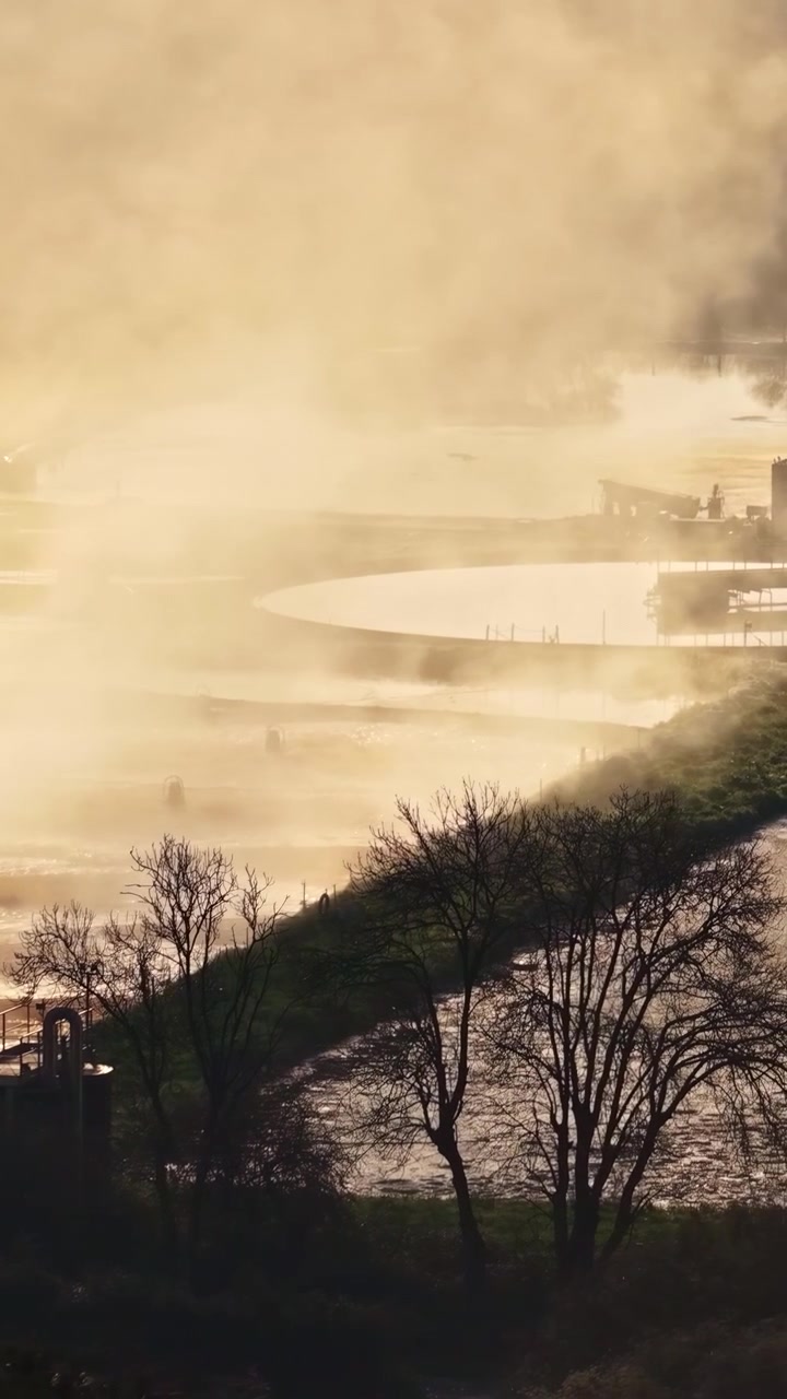 Golden mist drifts over a lakeside landscape at sunrise with bare trees