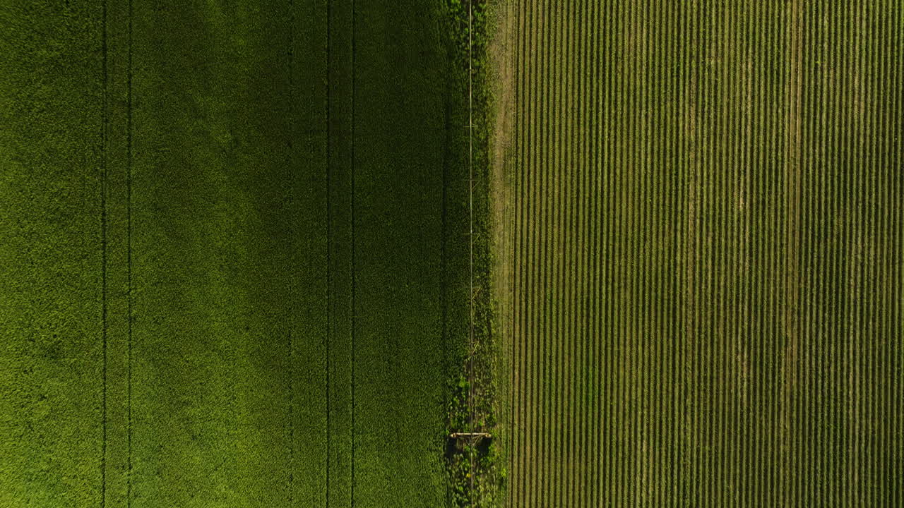 campos de cultivo contrastantes en dardanelles, ar, que muestran texturas exuberantes, vista aérea