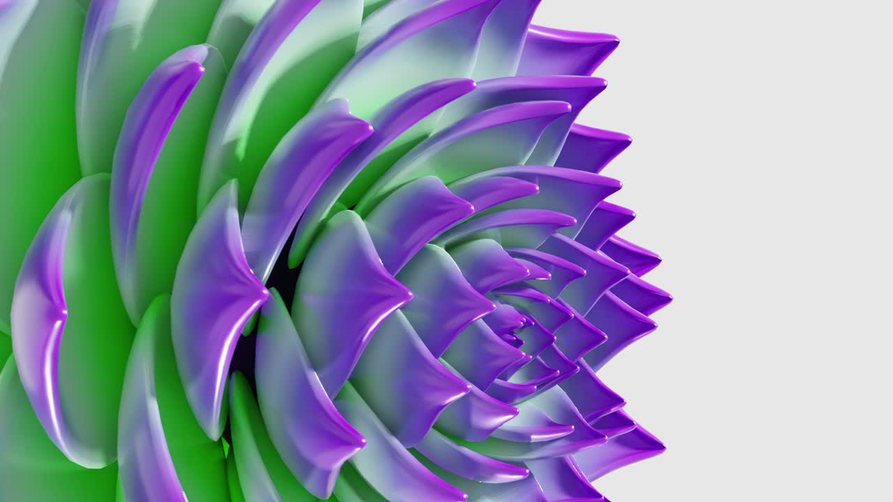 A Radiant Gradient Succulent vertical