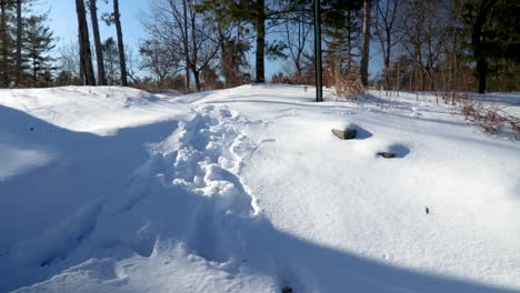 a horizontal pan of a snow covered forest ground revealing a path with human footsteps