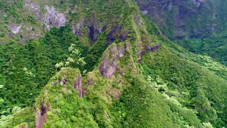 side pan aerial into cave entrance, rainforest on hawaii