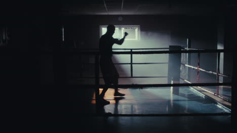 boxer training in the ring