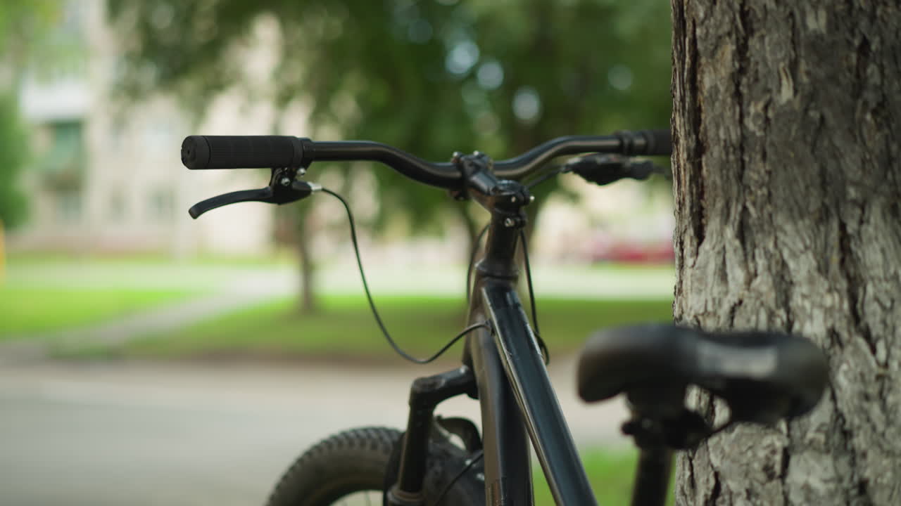 primer plano del manillar de la bicicleta y el marco delantero apoyados contra un árbol en un entorno de parque verde exuberante con un fondo borroso suave, con árboles y edificios distantes en el fondo
