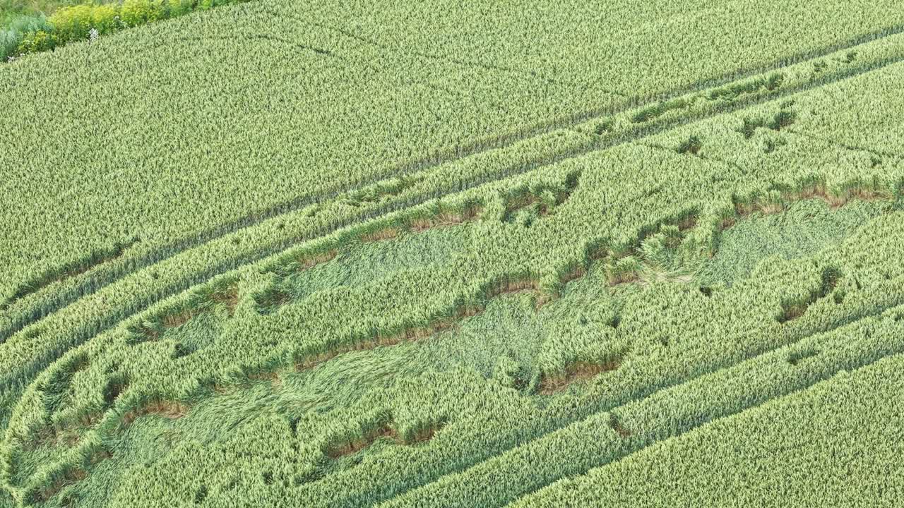Aerial view of green fields showing crop patterns in a vast landscape