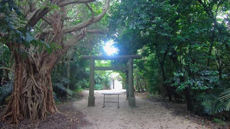 shinto torii in the middle of rural national park