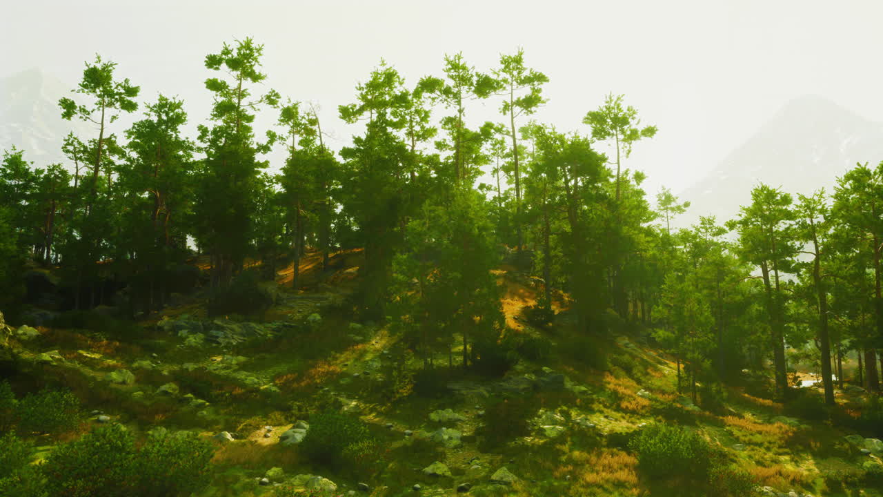 живописный вид зеленого леса с горами на заднем плане