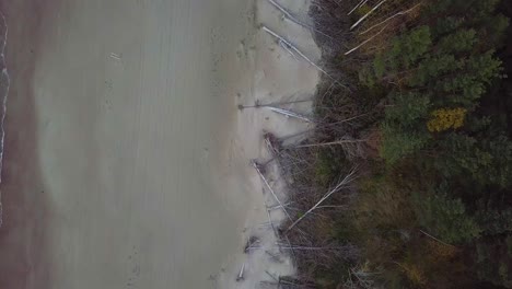 Beautiful-aerial-establishing-birdseye-view-of-Baltic-sea-coast-on-a-sunny-evening,-sunset,-golden-hour,-beach-with-white-sand,-coastal-erosion,-climate-changes,-wide-angle-drone-shot-moving-backward