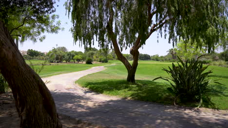 A-beautiful-golf-course-with-green-grass,-trees,-lake-and-feather-grass-on-a-sunny-day