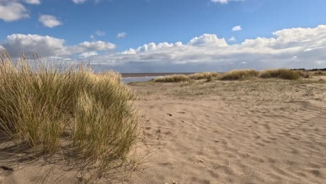 Strandgras-Wächst-An-Einem-Sonnenbeschienenen-Sandstrand-Mit-Blauem-Himmel-Und-Weißen-Wolken